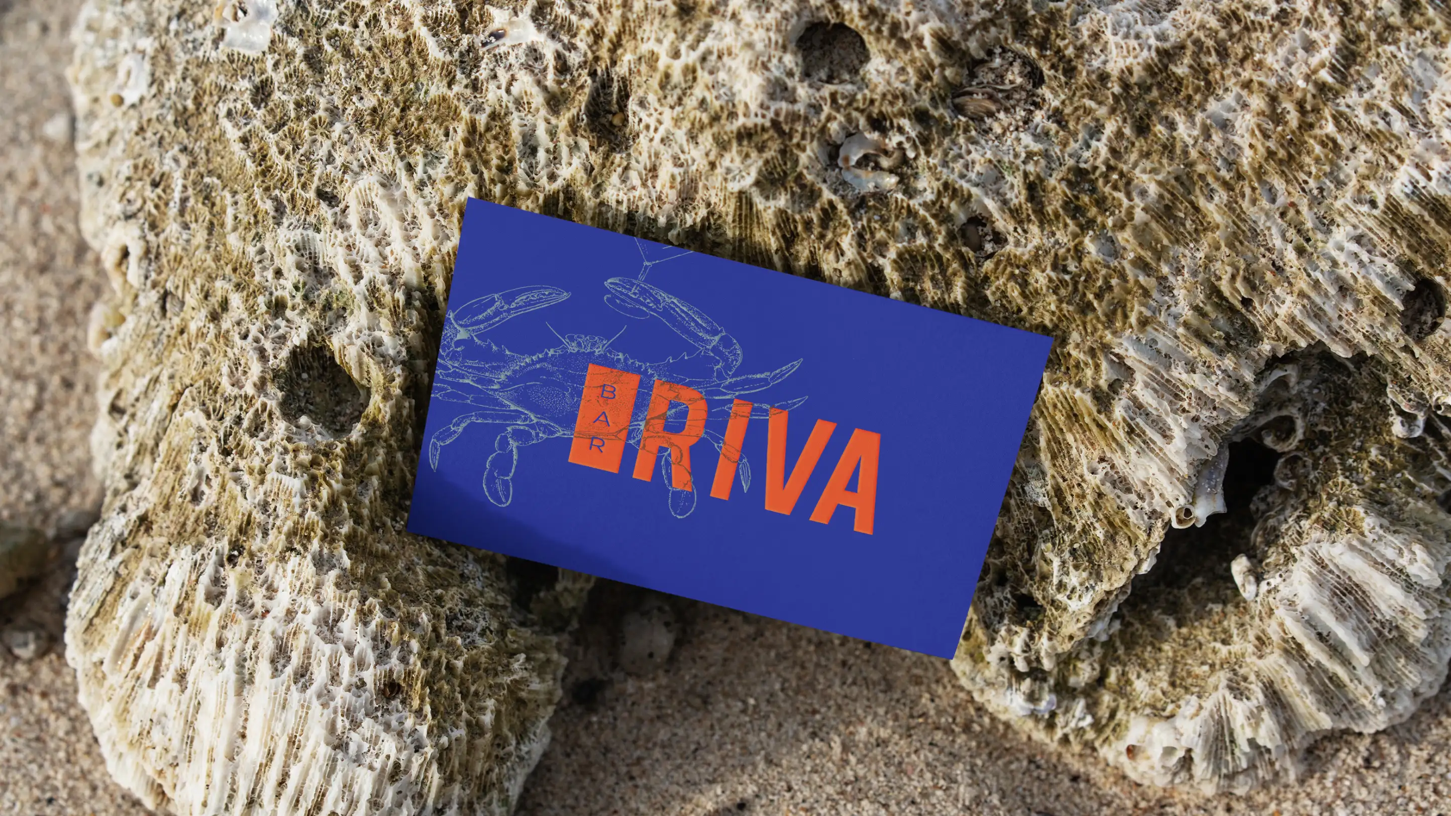 Bar Riva logo on blue business card.